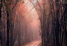 [台球]庞俊旭晋级世界公开赛八强.