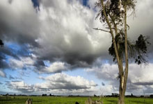 [台球]庞俊旭晋级世界公开赛八强.